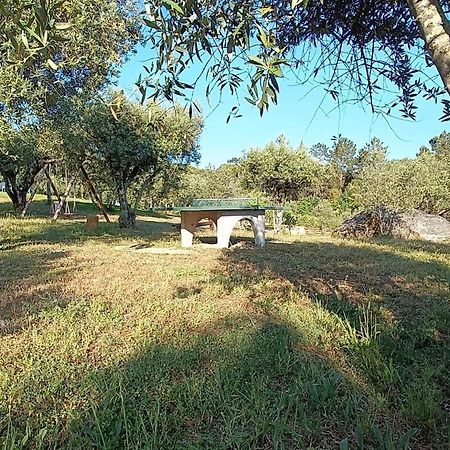 Гостевой дом Quinta Da Pedra Mija Сантар Экстерьер фото
