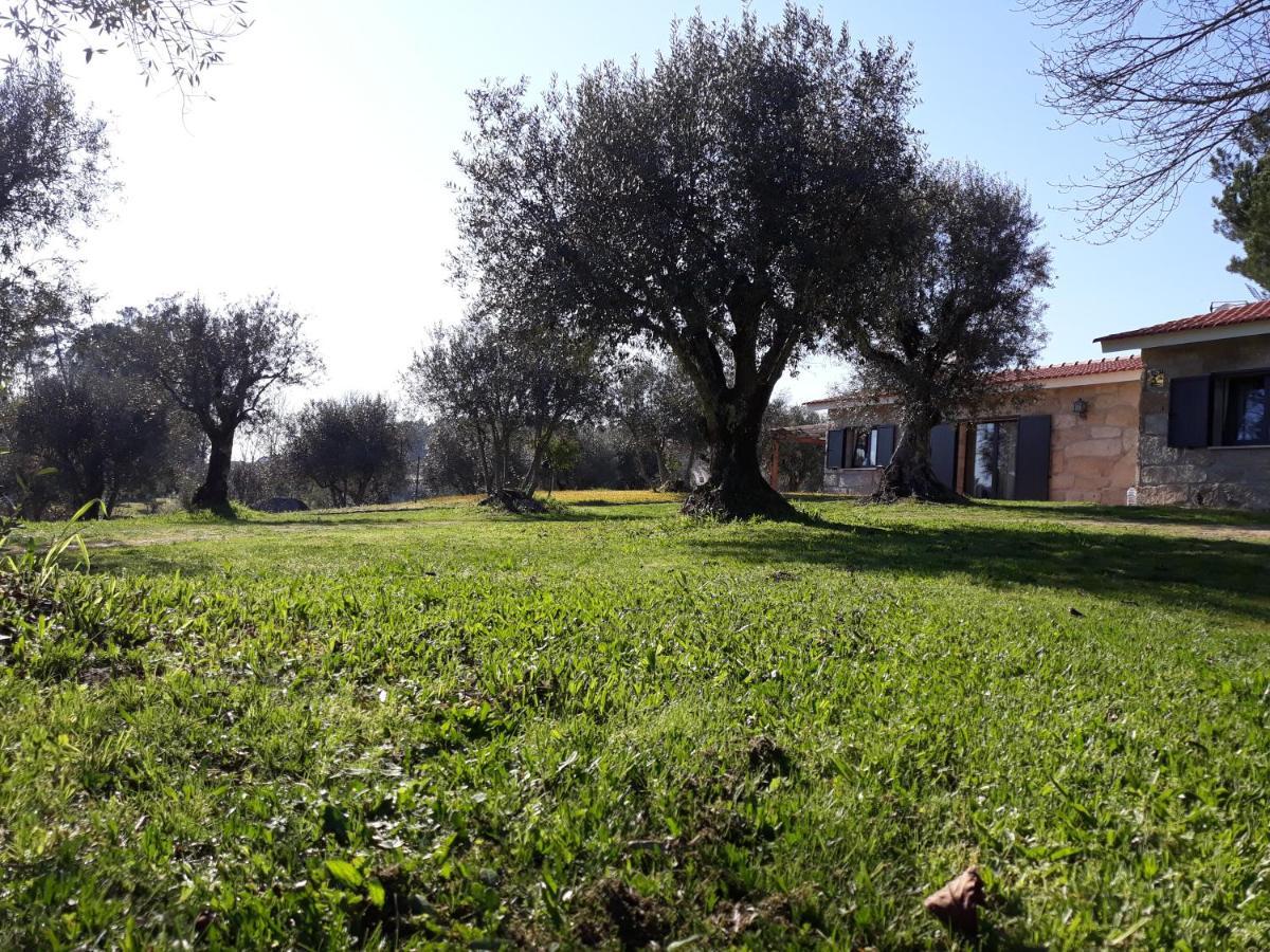 Гостевой дом Quinta Da Pedra Mija Сантар Экстерьер фото