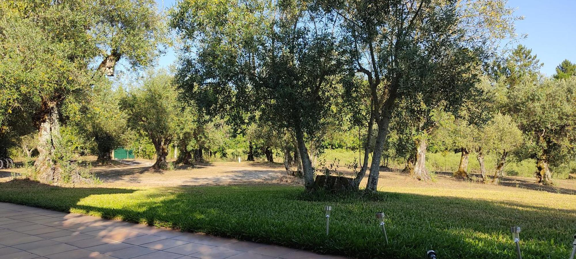 Гостевой дом Quinta Da Pedra Mija Сантар Экстерьер фото