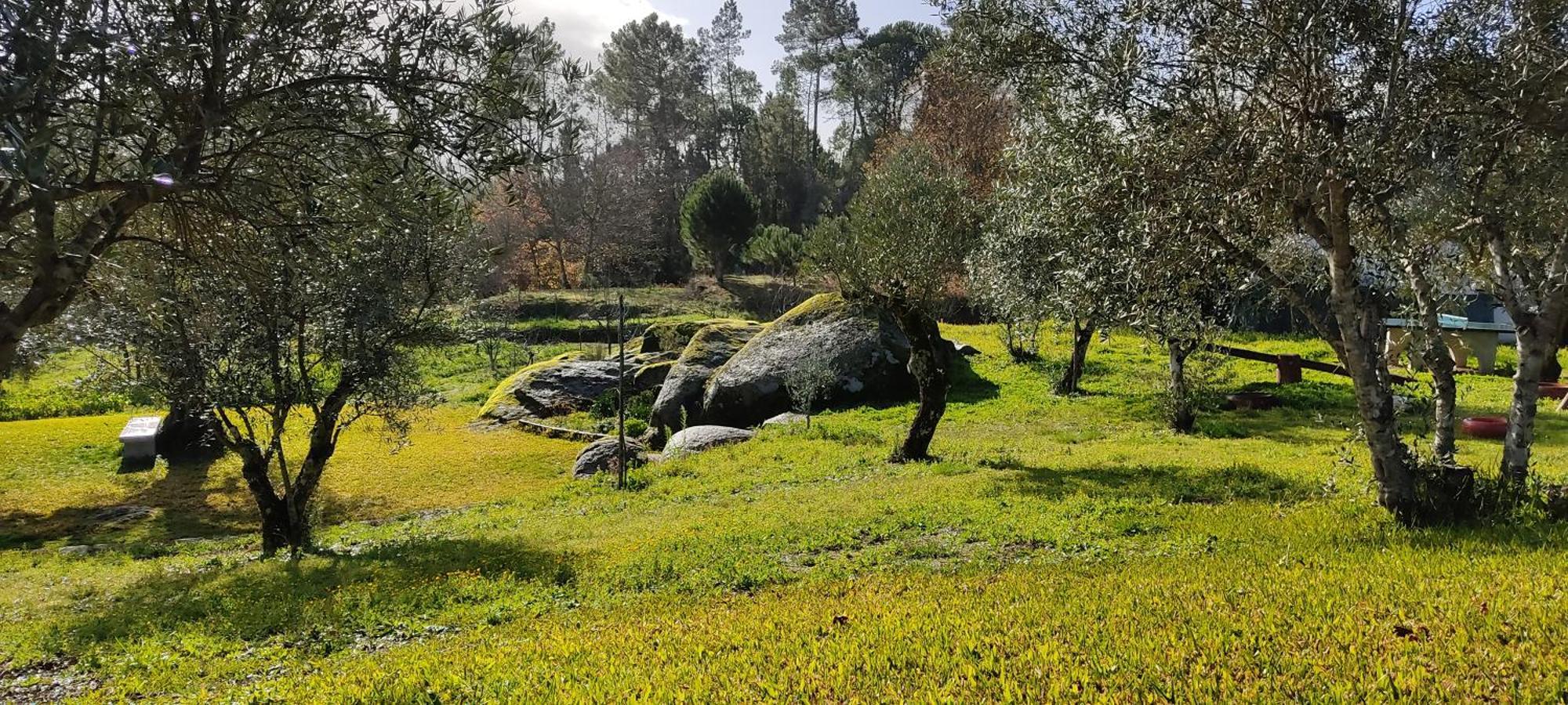 Гостевой дом Quinta Da Pedra Mija Сантар Экстерьер фото