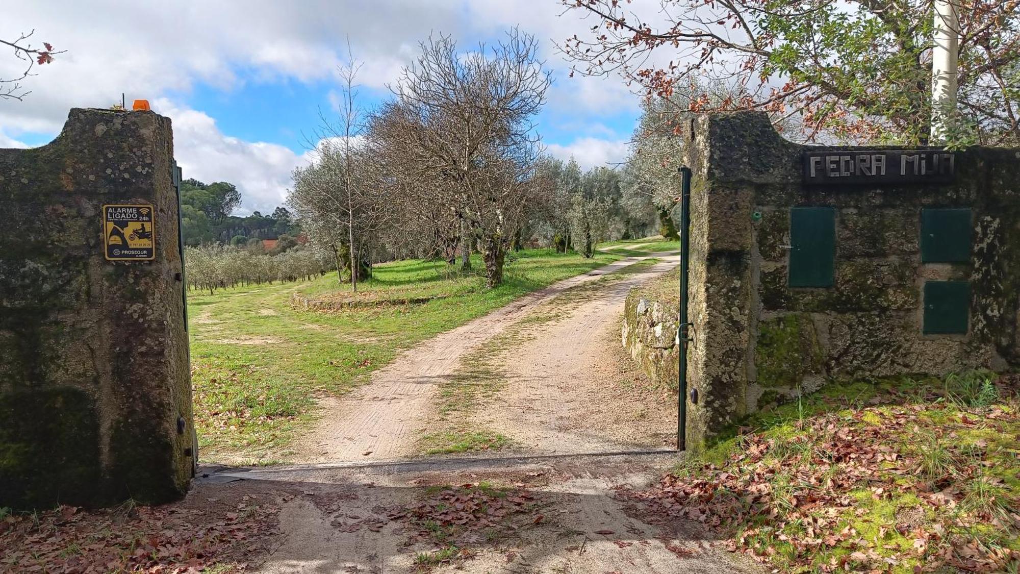 Гостевой дом Quinta Da Pedra Mija Сантар Экстерьер фото