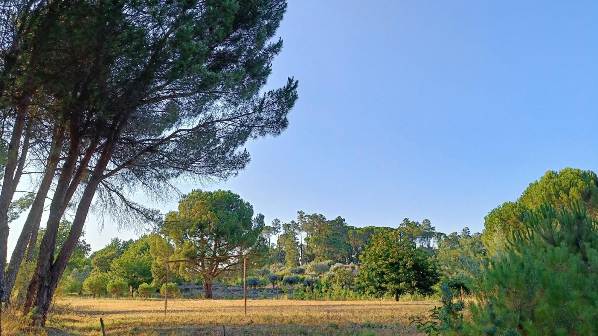 Гостевой дом Quinta Da Pedra Mija Сантар Экстерьер фото