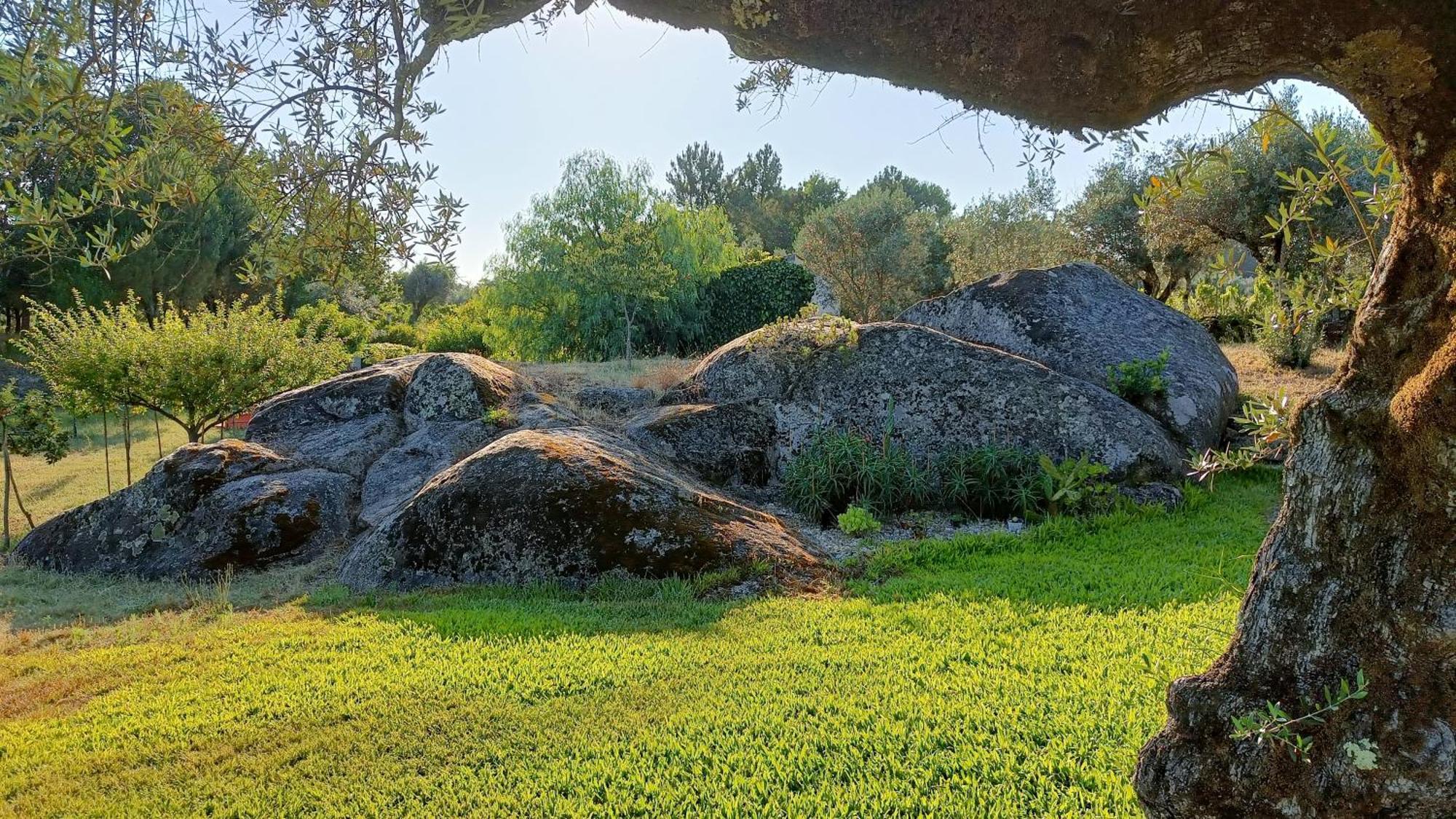 Гостевой дом Quinta Da Pedra Mija Сантар Экстерьер фото