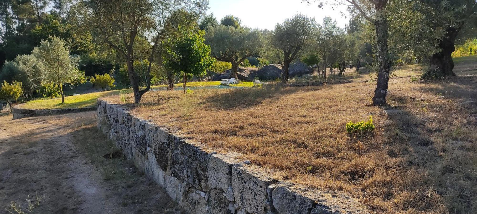 Гостевой дом Quinta Da Pedra Mija Сантар Экстерьер фото