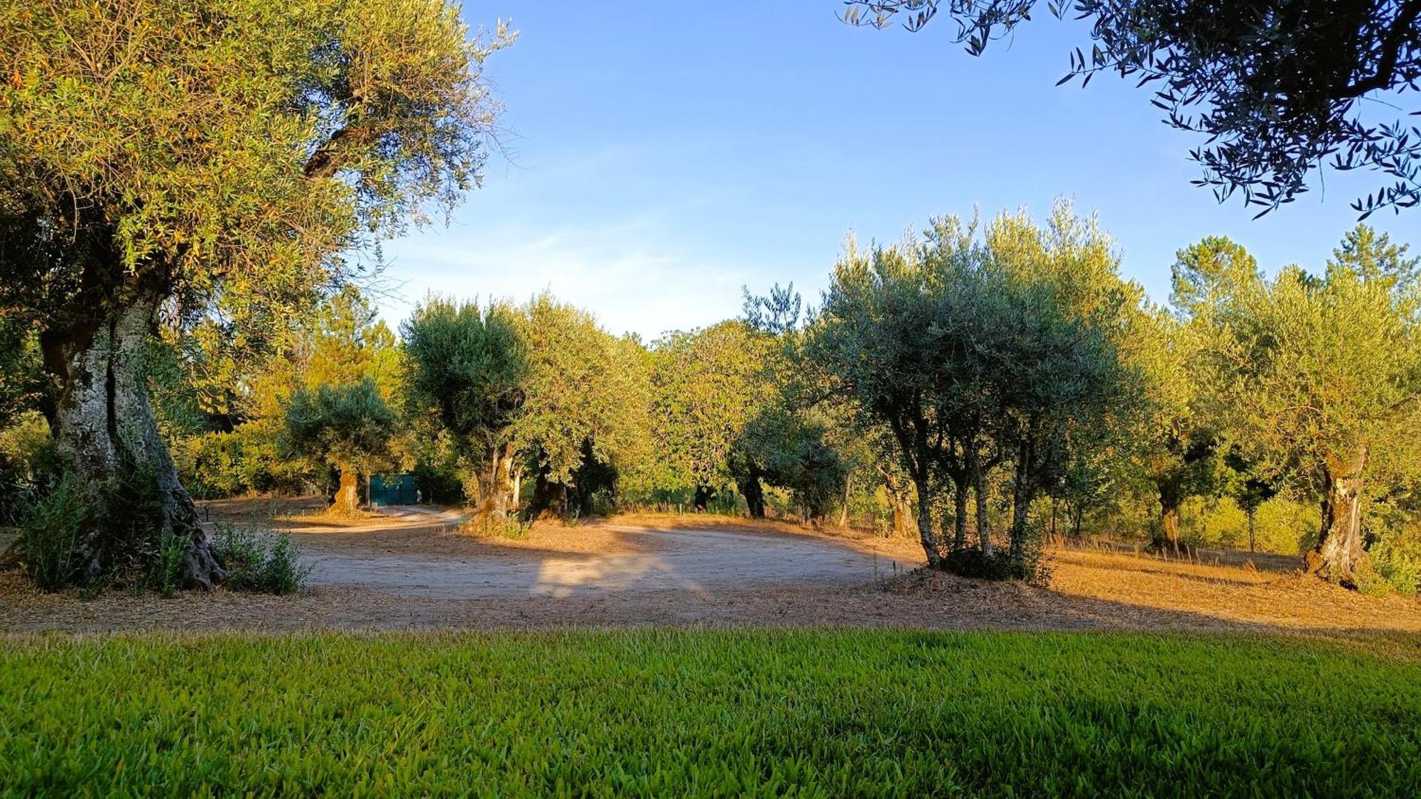 Гостевой дом Quinta Da Pedra Mija Сантар Экстерьер фото