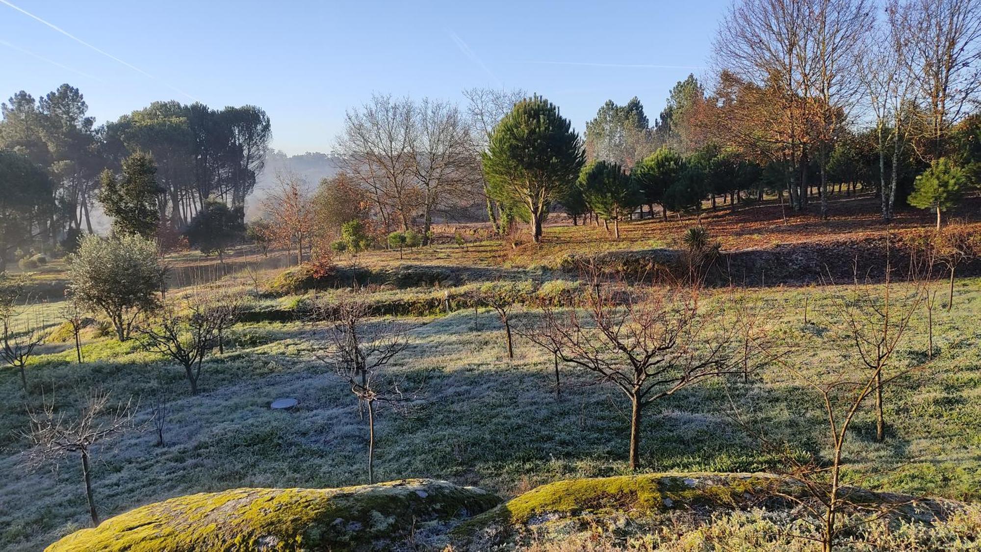 Гостевой дом Quinta Da Pedra Mija Сантар Экстерьер фото
