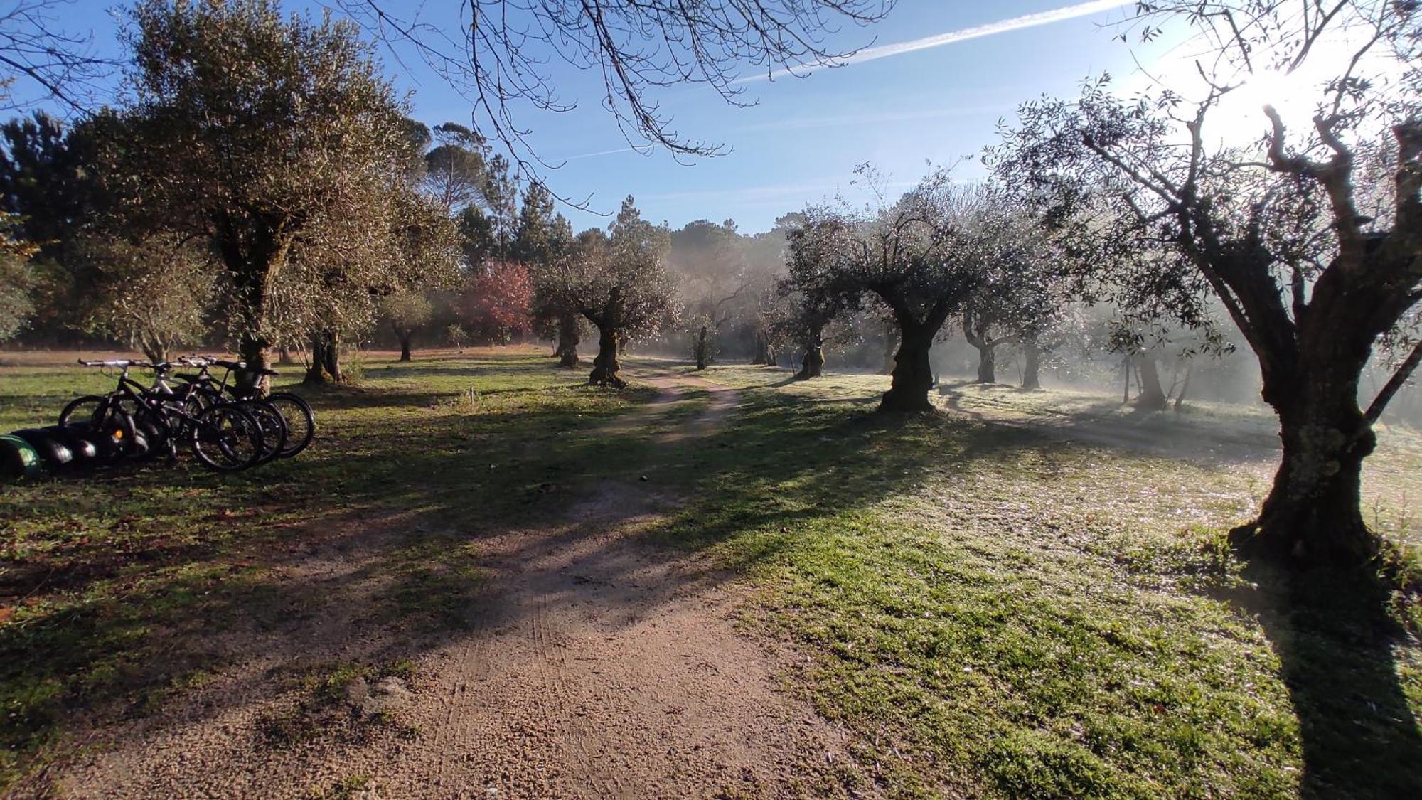 Гостевой дом Quinta Da Pedra Mija Сантар Экстерьер фото
