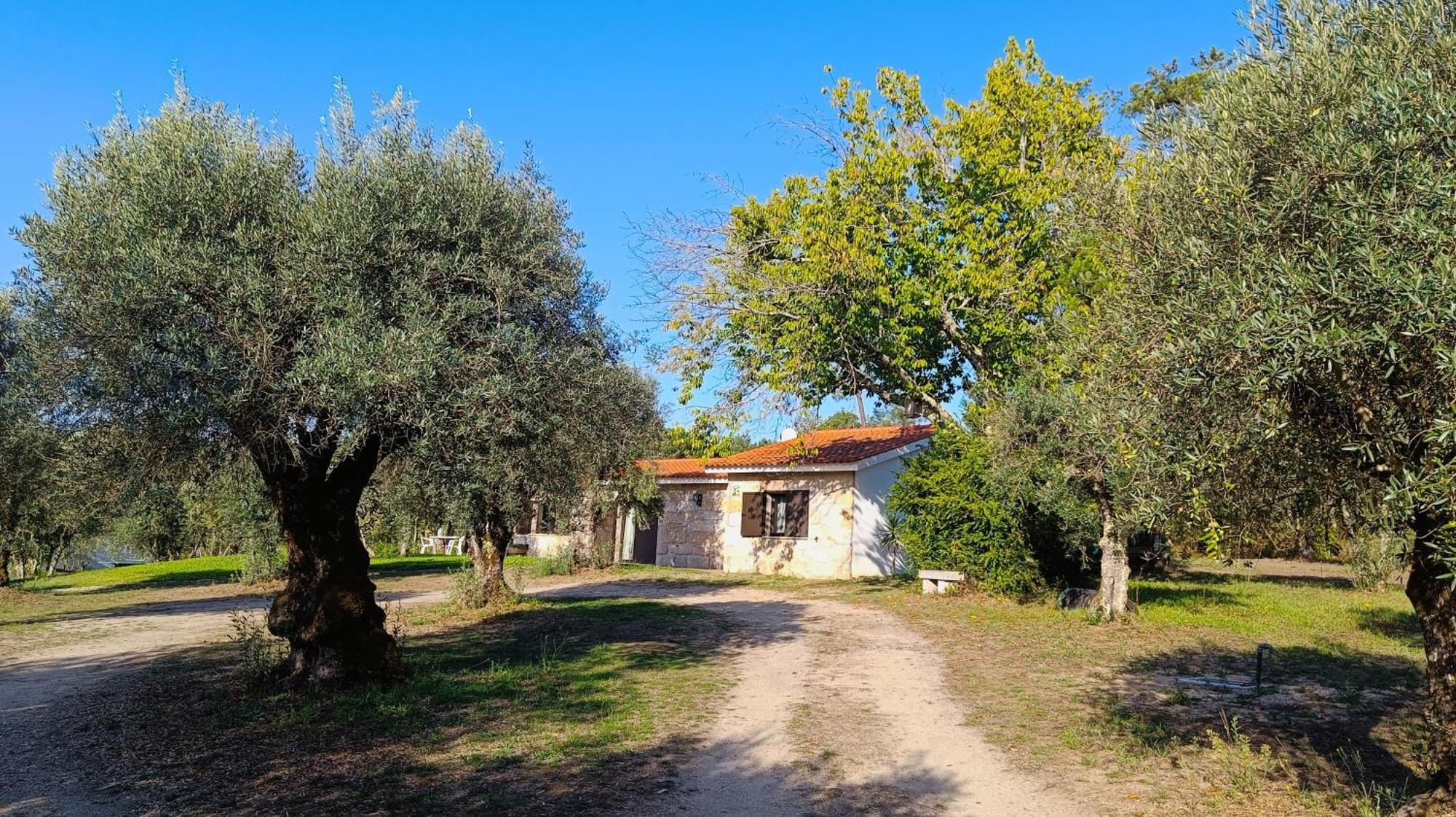 Гостевой дом Quinta Da Pedra Mija Сантар Экстерьер фото
