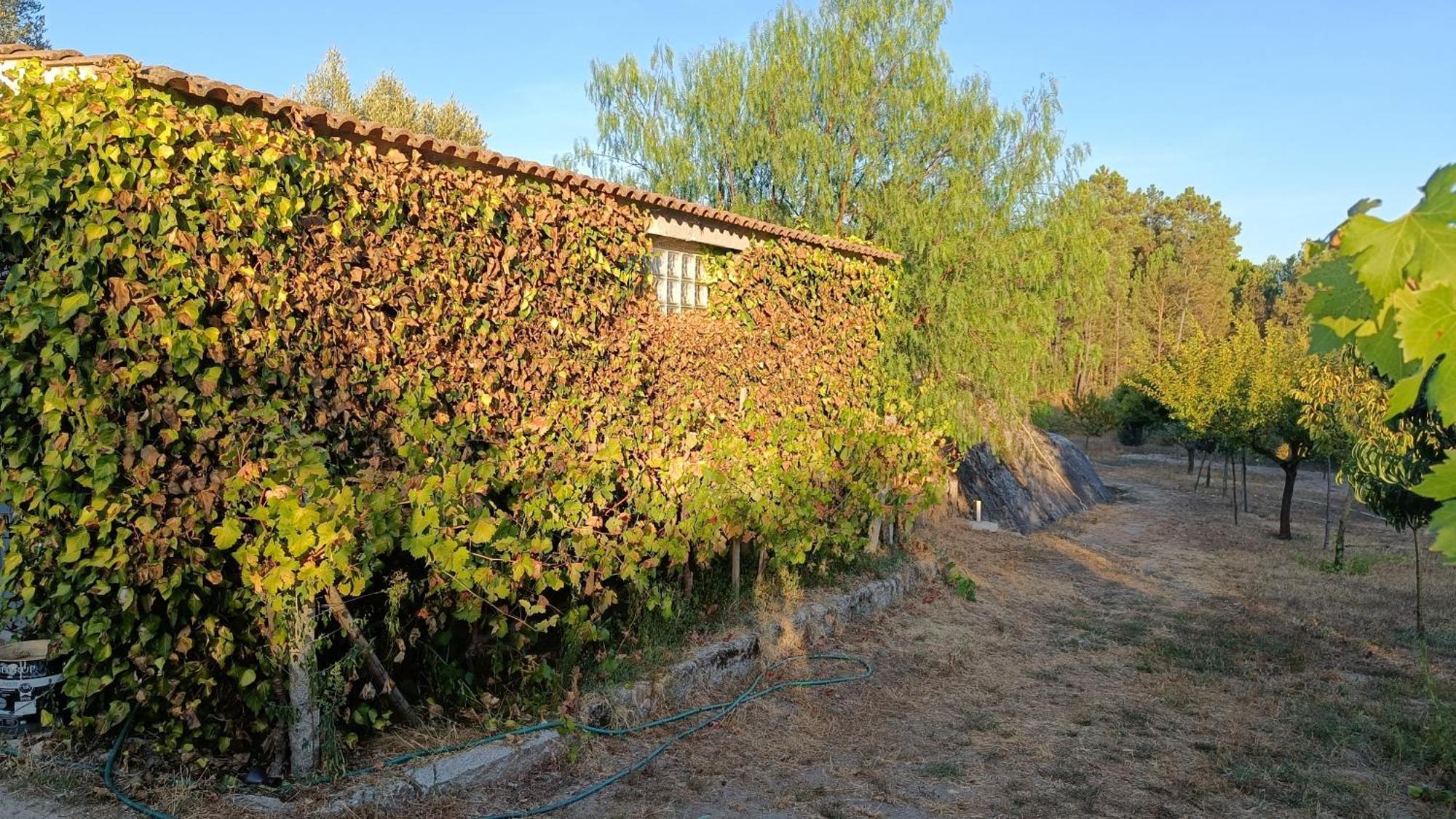 Гостевой дом Quinta Da Pedra Mija Сантар Экстерьер фото