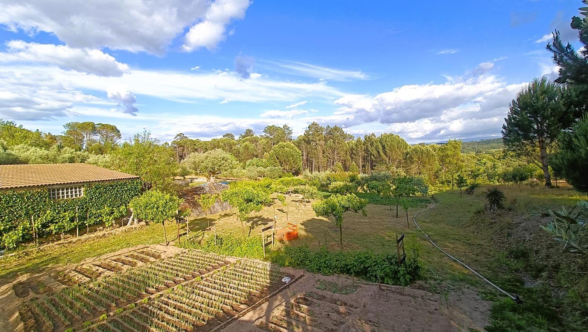 Гостевой дом Quinta Da Pedra Mija Сантар Экстерьер фото