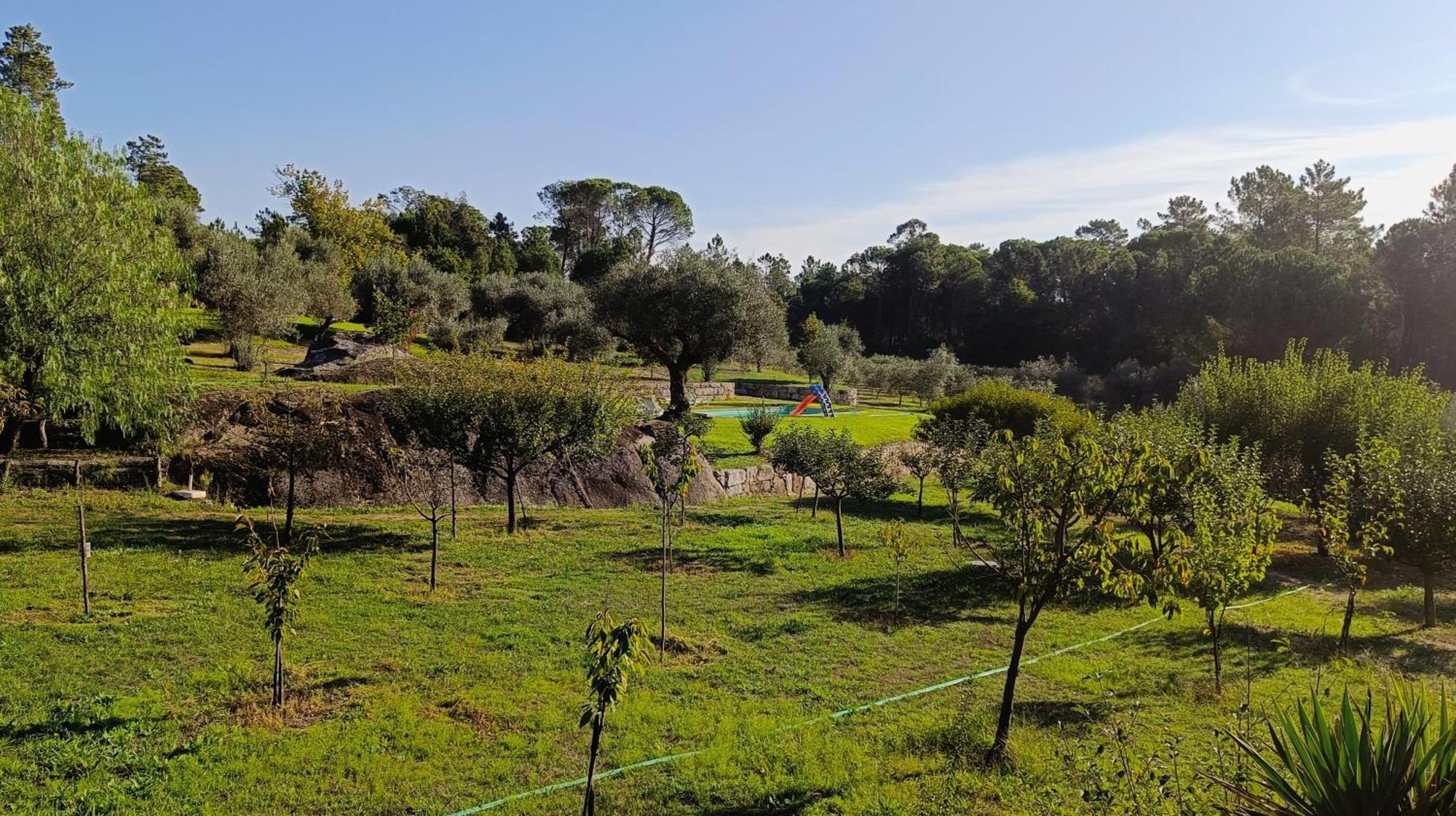 Гостевой дом Quinta Da Pedra Mija Сантар Экстерьер фото