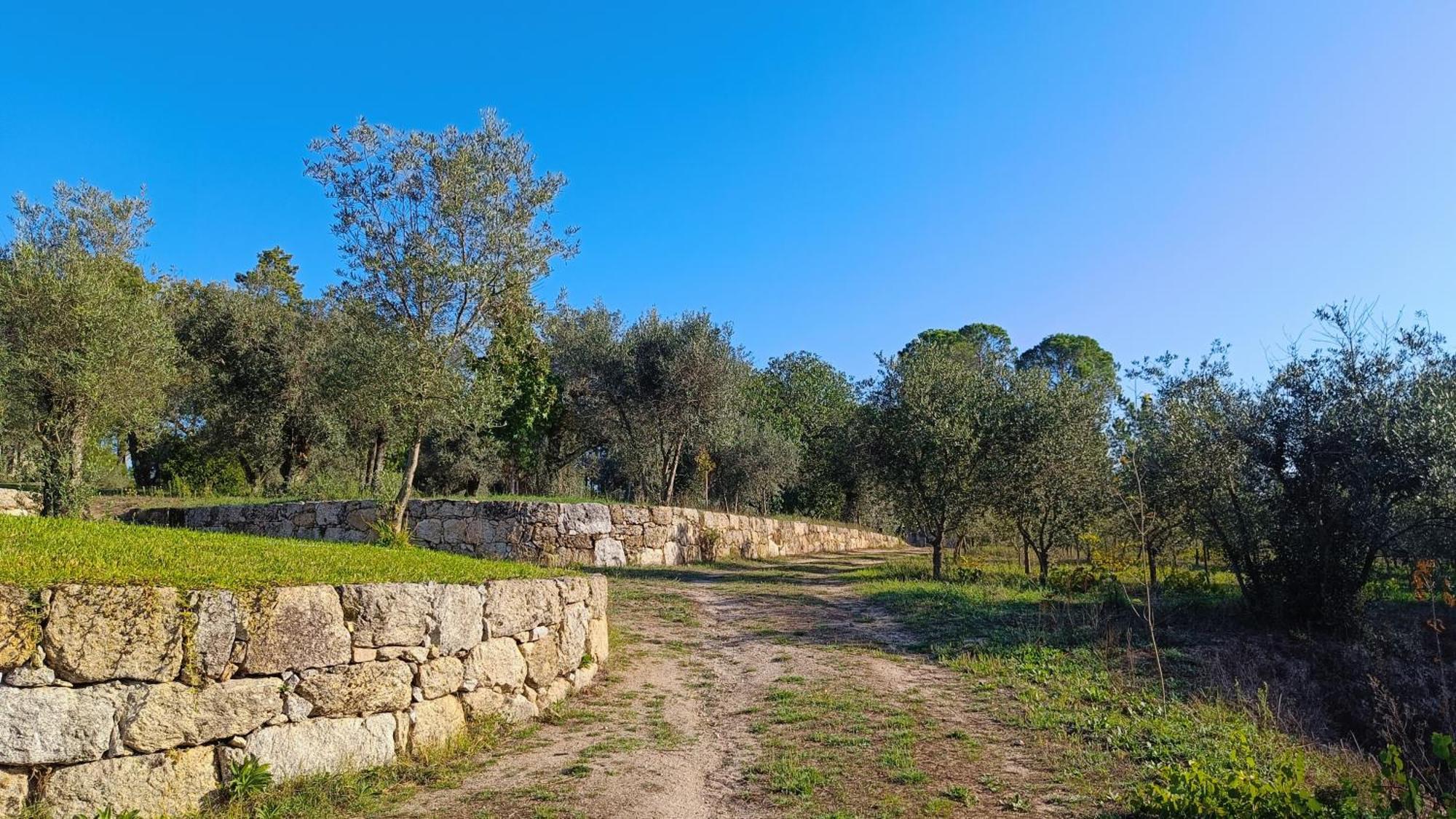 Гостевой дом Quinta Da Pedra Mija Сантар Экстерьер фото