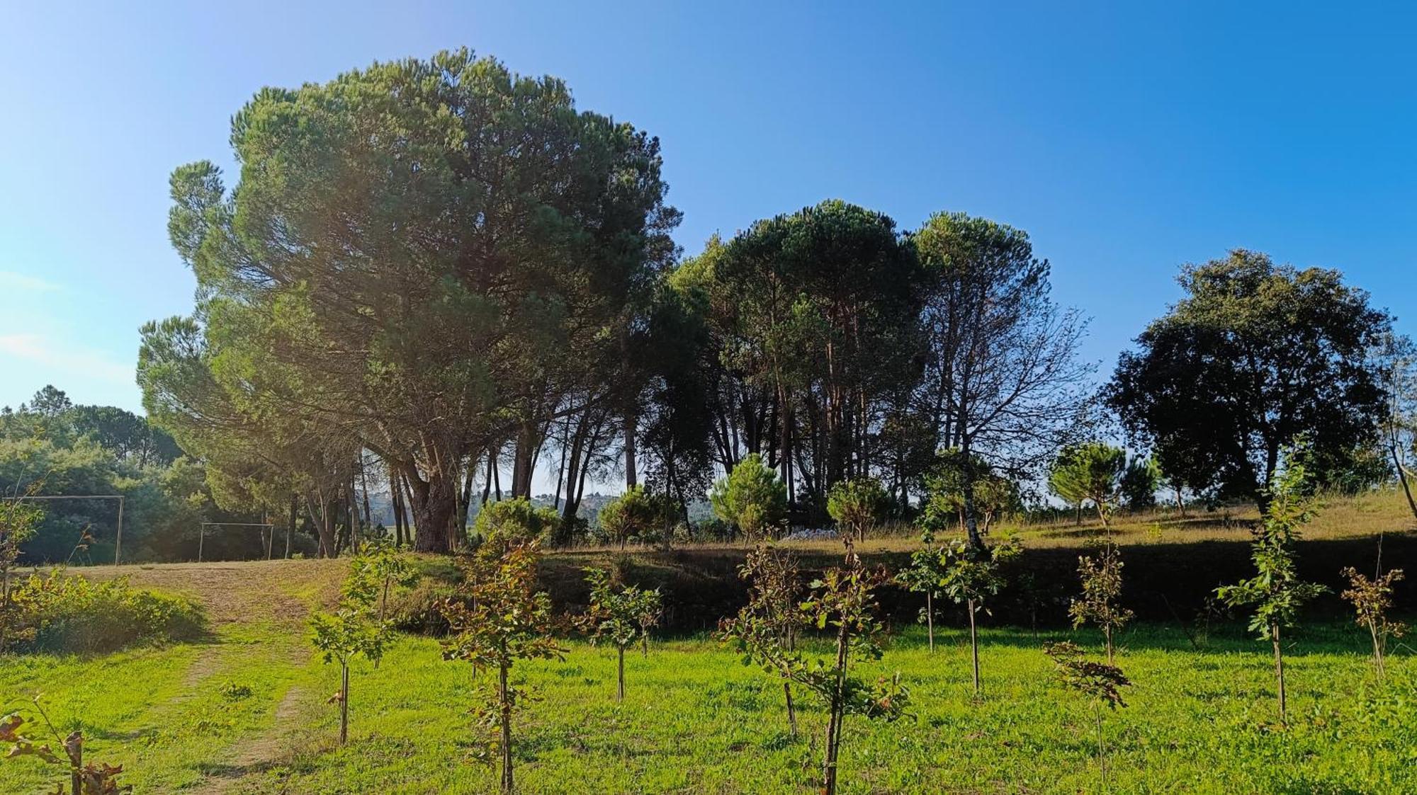 Гостевой дом Quinta Da Pedra Mija Сантар Экстерьер фото