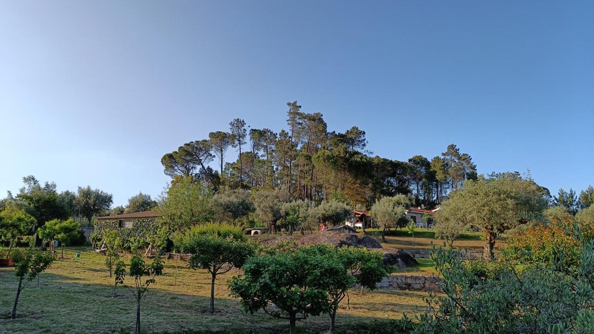 Гостевой дом Quinta Da Pedra Mija Сантар Экстерьер фото