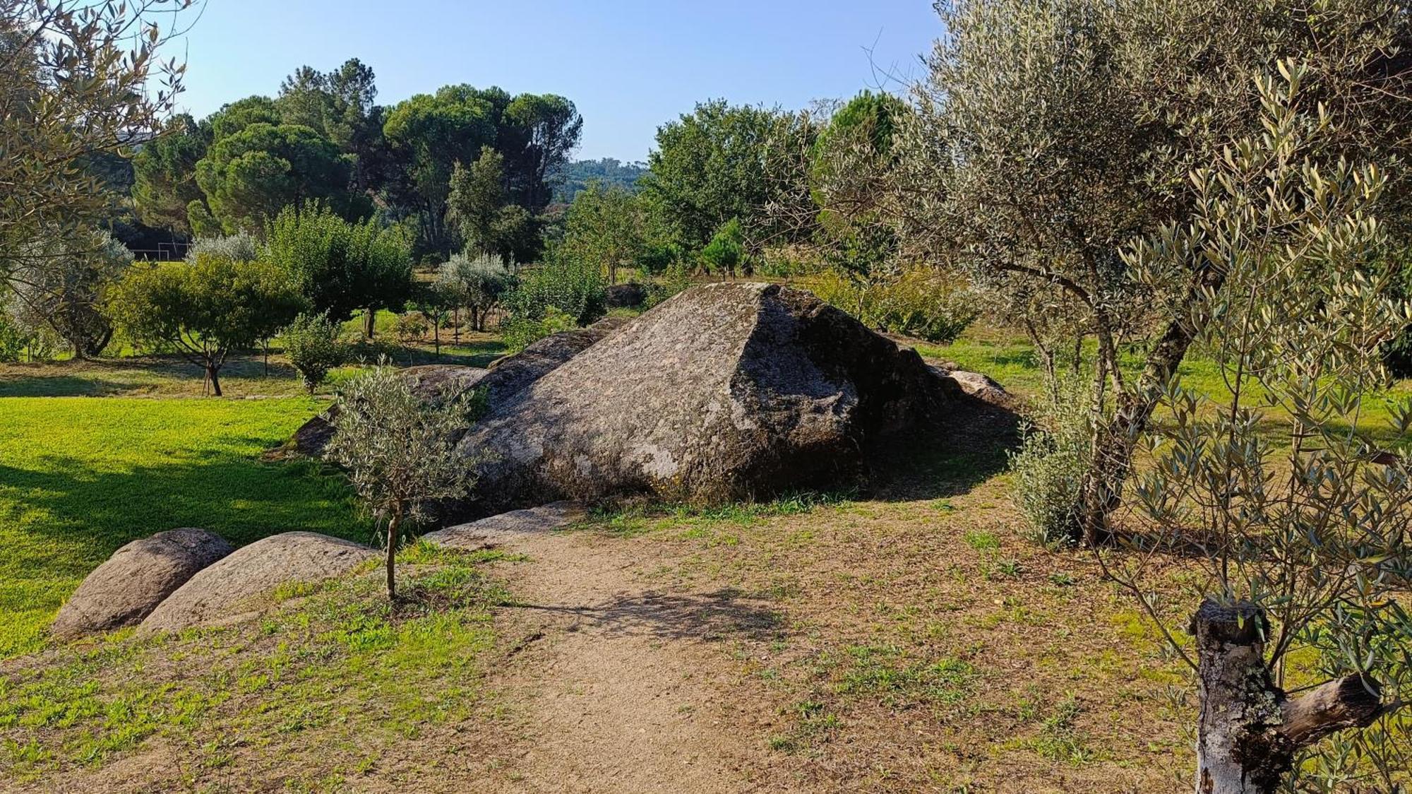 Гостевой дом Quinta Da Pedra Mija Сантар Экстерьер фото