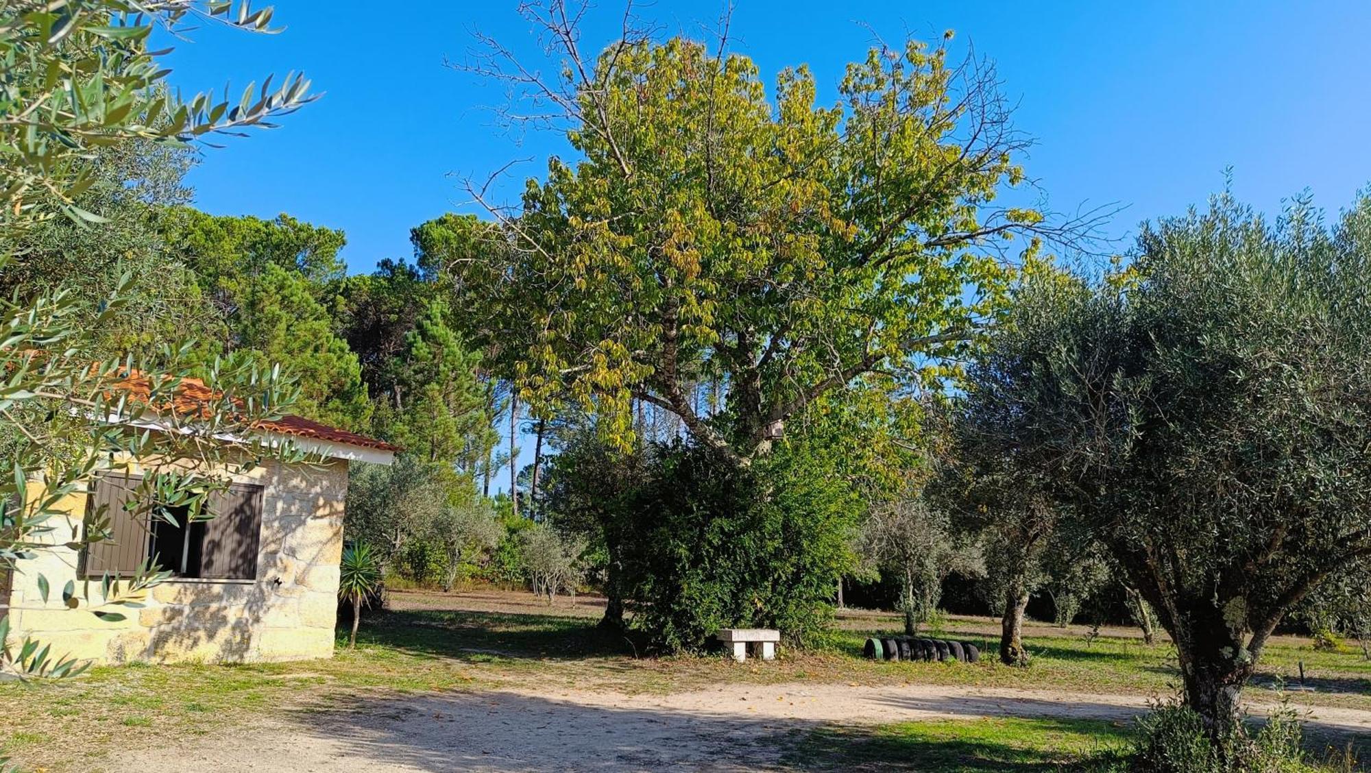 Гостевой дом Quinta Da Pedra Mija Сантар Экстерьер фото