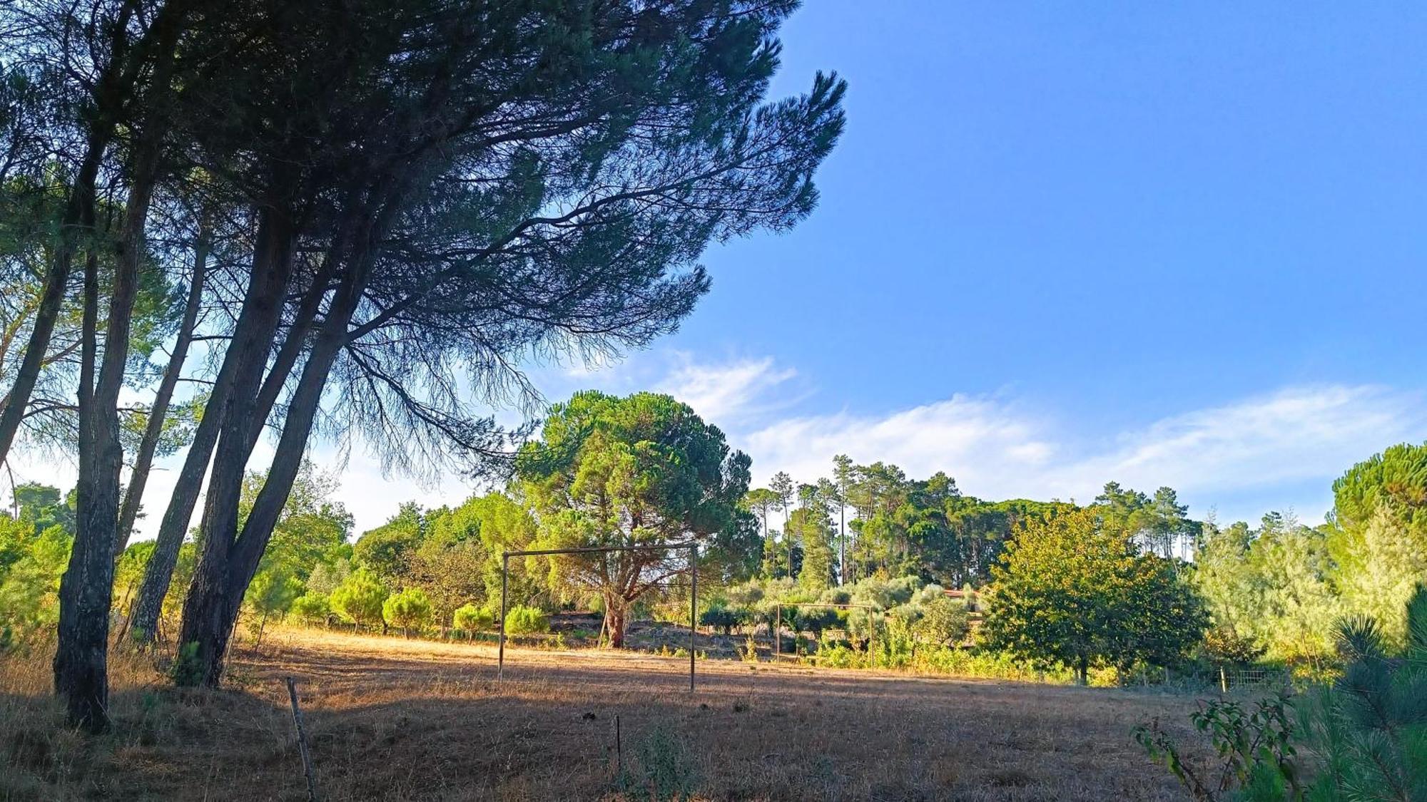 Гостевой дом Quinta Da Pedra Mija Сантар Экстерьер фото