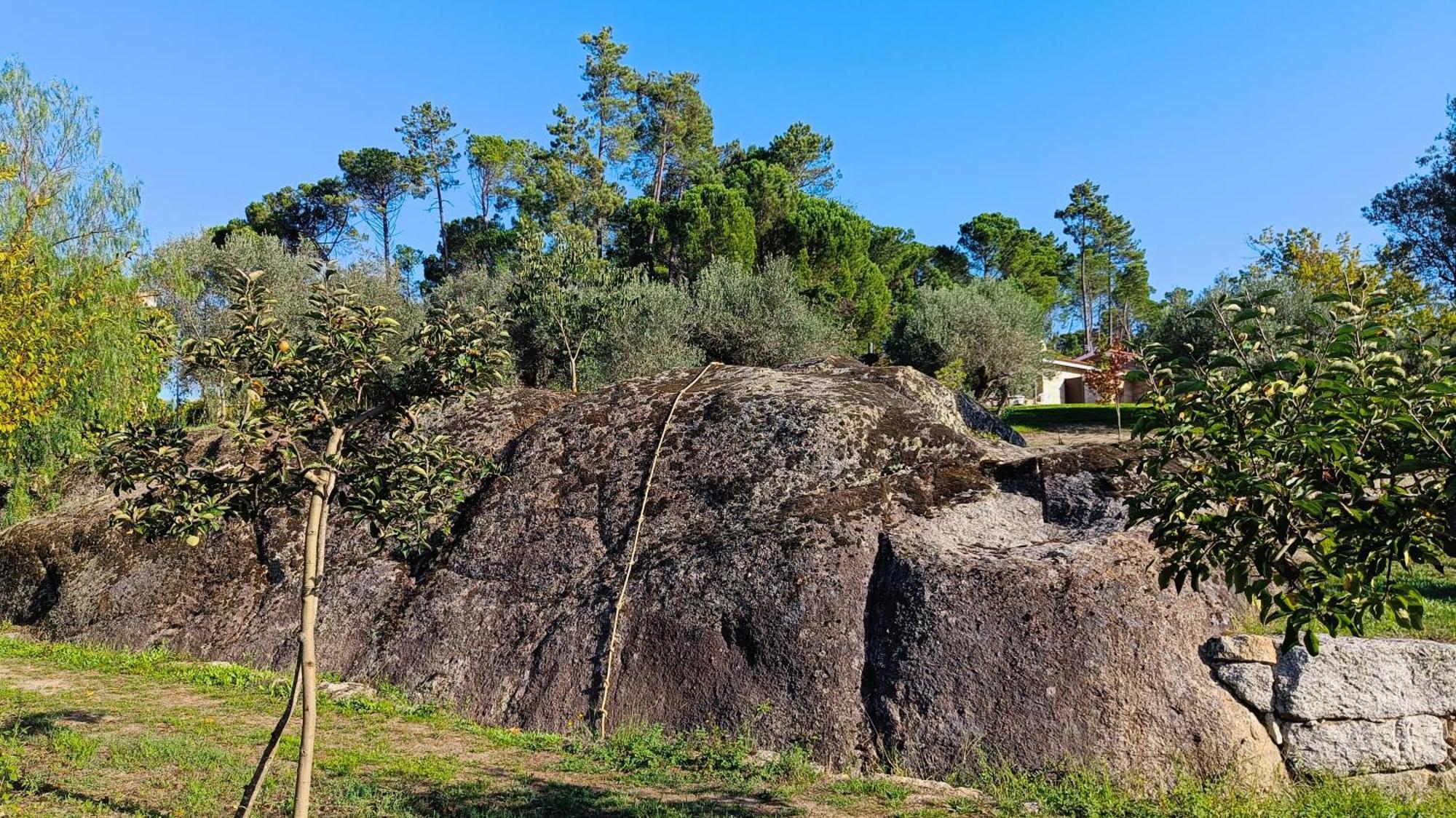 Гостевой дом Quinta Da Pedra Mija Сантар Экстерьер фото