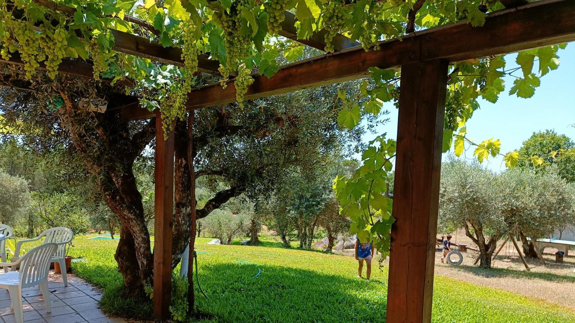 Гостевой дом Quinta Da Pedra Mija Сантар Экстерьер фото