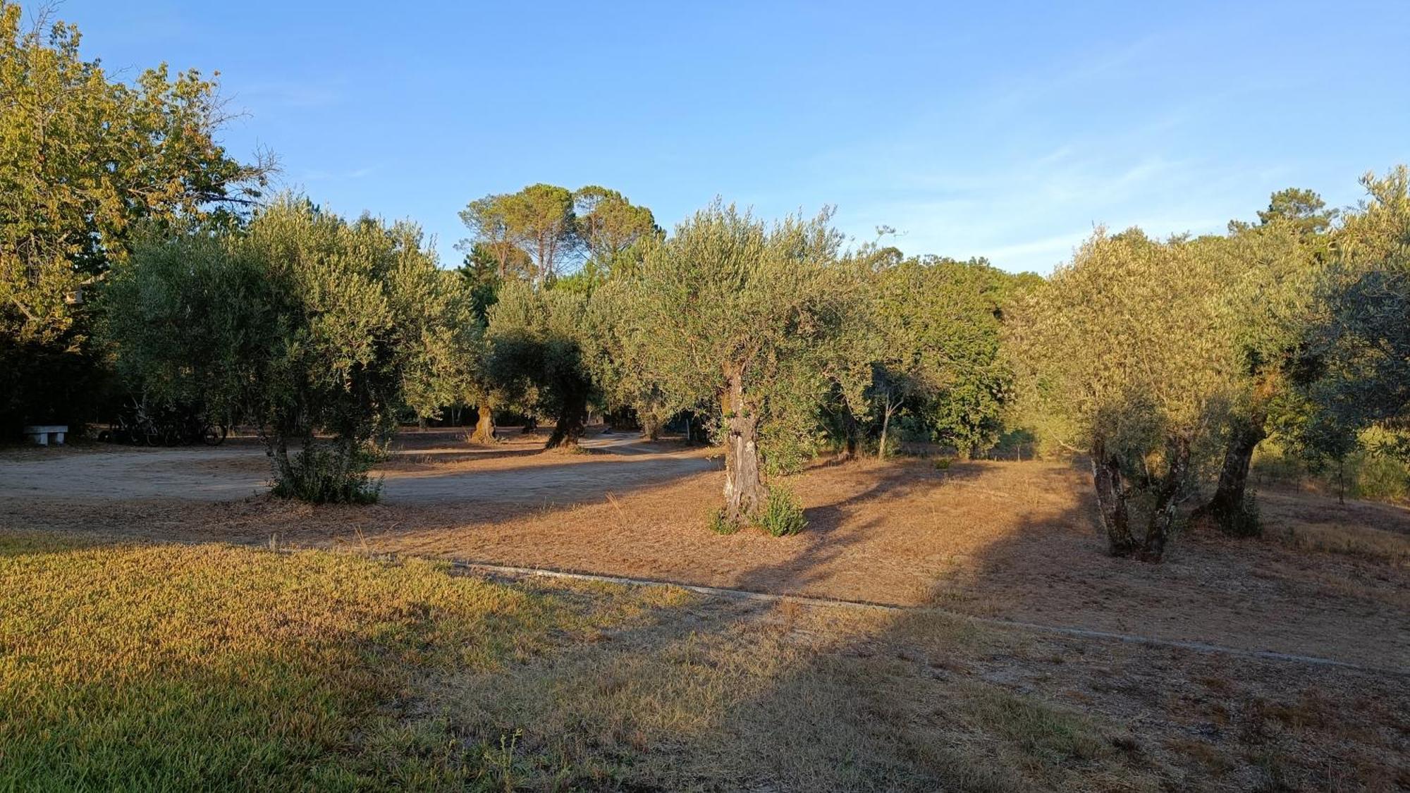 Гостевой дом Quinta Da Pedra Mija Сантар Экстерьер фото