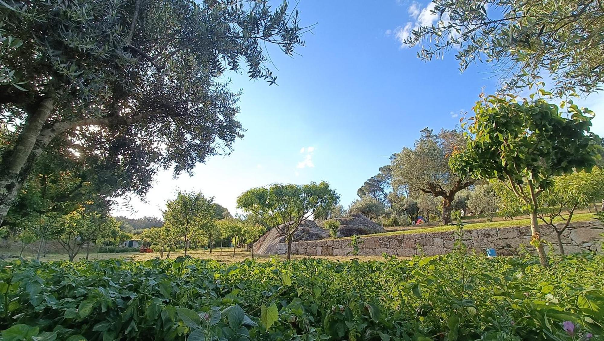 Гостевой дом Quinta Da Pedra Mija Сантар Экстерьер фото