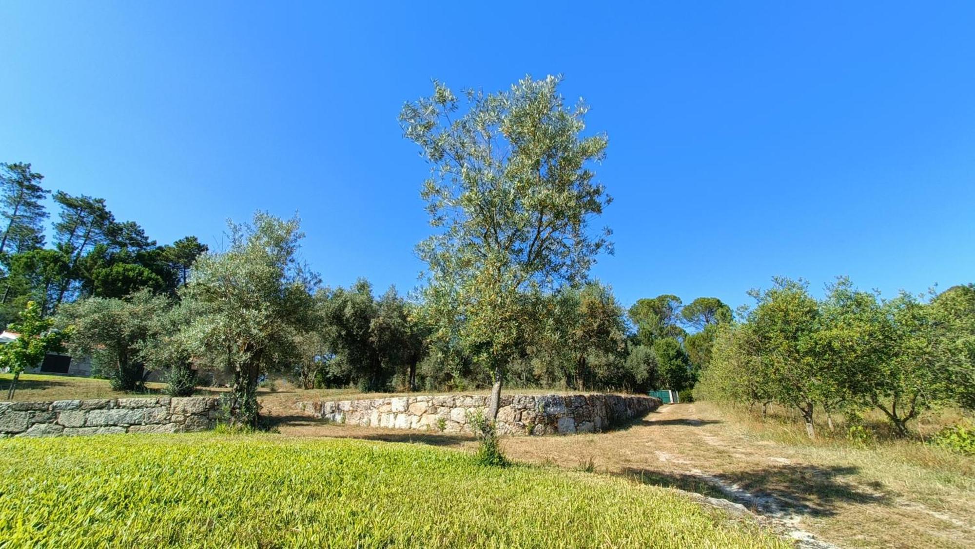 Гостевой дом Quinta Da Pedra Mija Сантар Экстерьер фото