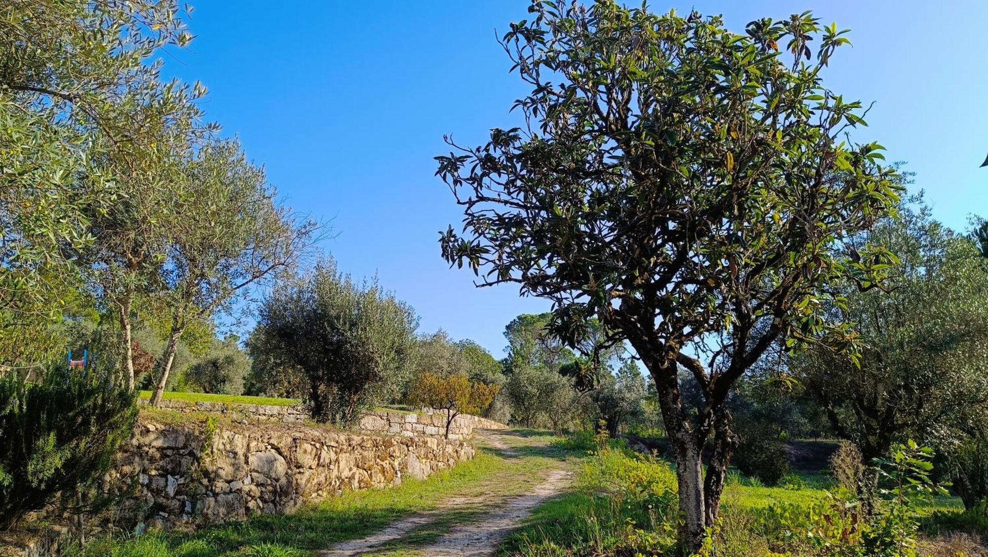 Гостевой дом Quinta Da Pedra Mija Сантар Экстерьер фото